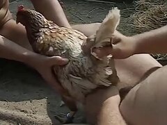 Anal bestiality sex