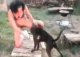 Nasty brunette makes a dog lick her wet pussy outdoors