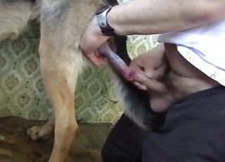 Dominant dude enjoys flip flopping action with his big-dicked dog