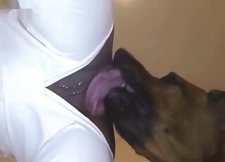 Brown animal fucking a hot ebony babe in a white bodysuit from behind