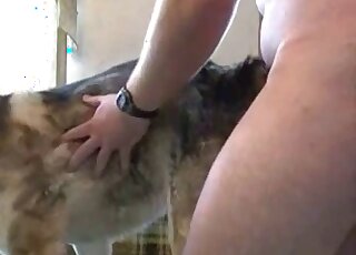 Guy with a shapely ass happily fucking a dog from behind in a hot way