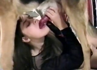 Hot brunette dressed in black sucking on a dog's dick and fucking
