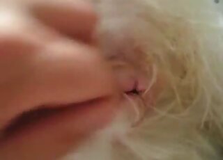 Pink pussy animal is going to get fingered and then some in free XXX