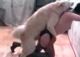 White dog bangs hot chick from behind in XXX bestiality session