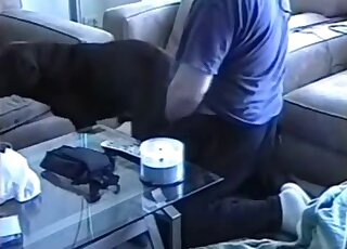 Porn movie featuring a tubby dude in a purple shirt that fucks a dog