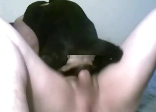 Cowgirl fucking session showing a horny animal that wants orgasms