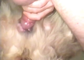 Guy using his throbbing member to fuck a sexy animal real deep