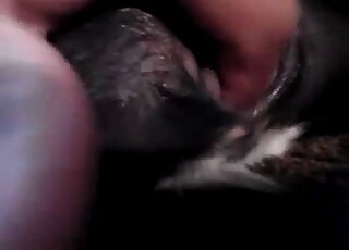 Dude cannot stop fingering small black animals for his pleasure