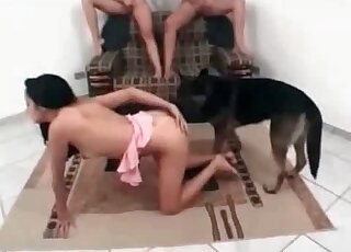 Two bitches watch the way their girlfriend gets fucked by a Shepherd dog