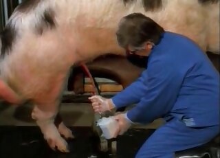 Dude using his handjob skills to keep this pig fully satisfied too
