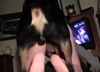 Exhaustive video record of this guy's hardcore doggystyle dog fuck