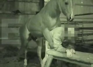 Huge animal cock fucks this horse lover's tight asshole deeply