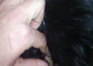 Hairy dog gets pussy banged by stiff dick in amateur POV porn