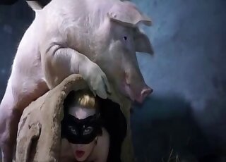Huge pig dominates the pussy of a masked lady in black stockings