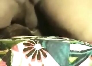 Chubby man treats female dog with deep and hard penetration