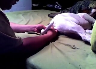 Aroused guy treats his dog with anal toying and pussy fingering