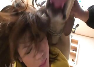 Slim Asian chick is fucked up the hairy pussy by a cute Labrador