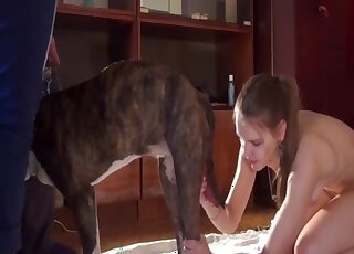 Amateur girl is treating standing dog with blowjob-rimjob combo