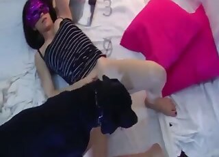 Black Labrador pussy licks mistress after getting a sloppy blowjob