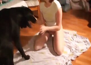 Big black dog provides sexual satisfaction to amateur redhead