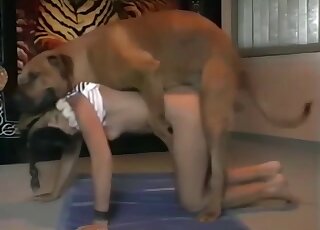 Impatient dog dominates the pussy of slim blonde girl from behind