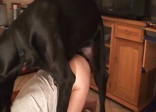 Redhead MILF is filmed while trying to seduce a giant black dog