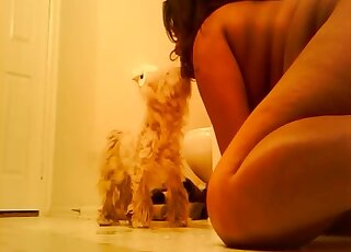 Poodle treats BBW mistress with gentle pussy licking