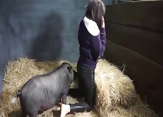 Crotchless chick gets pussy banged by thick boar in heat