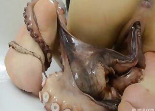 Amateur chick is stuffing her delicious pussy with slimy squid