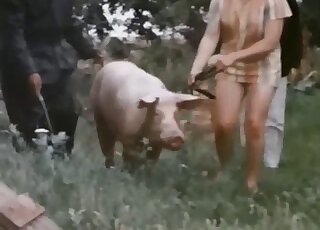 Vintage zoo sex video with fat pig in the main role