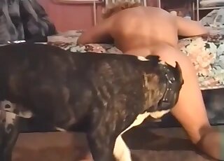 Bestiality porn - Pit Bull goes deep and hard on mature broad pussy