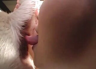 Attractive Asian babe in black lingerie is ready to eat dog ass