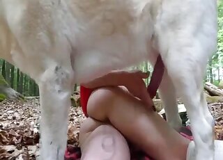Attractive Red Riding Hood cosplayer fucking a sexy dog while outdoors