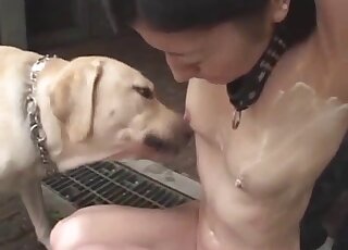 Skinny chick with a shaved pussy was kidnapped and fucked by dogs