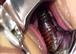 Bugs crawling all over her body as she prepares to get fucked by them