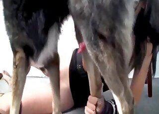 Busty brunette gets doggystyle fucked in both holes during a cam show