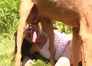 Aroused female tries outdoor sex with the dog and loves it
