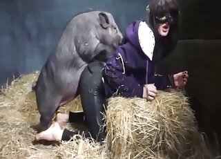 Pig grants farm girl perfect anal stimulation in the hey