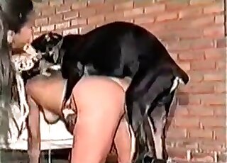 Doggy-style indoors zoo porn with a black dog and a horny bitch
