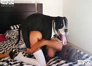 Homemade dog porn leaves busty redhead MILF creamed and pleased