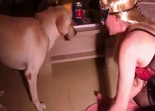 Hot blonde in black lingerie filmed treating herself with dog cock