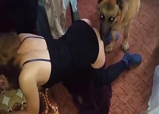 Tight wife fucked by the German Sheppard in pretty harsh rounds