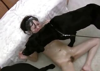 Sloppy dog oral porn makes Japanese slut wanna fuck as well