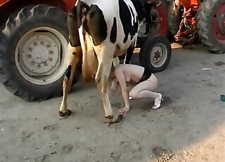 Nude amateur plays with the cow's utterus for perverted solo action