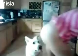 White doggie performs pussy-licking for a horny zoophile chick