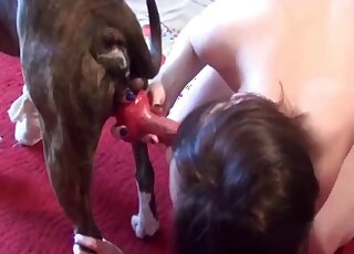 Homemade zoophilia shows teen offering sloppy dog blowjob