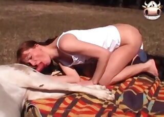 Thin woman enjoys fine outdoor sex treat with both her dogs