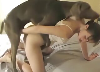 Sexy babe shares homemade zoo cam porn with her horny dog