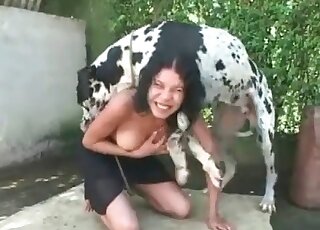 Huge dog fucks brunette zoophile chick during a passionate zoo porn
