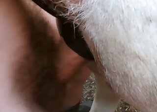 Dude inserting his uncut cock into a beast's eager pussy right here